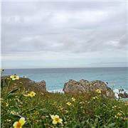 Profesor apto para clases de diseño de interiores